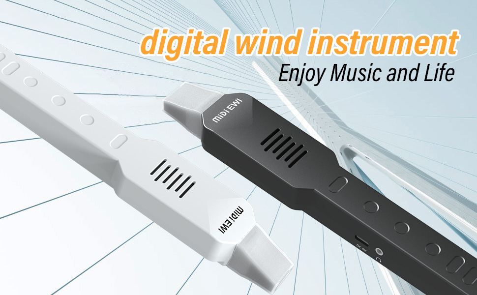 OYAYO Digital Wind Instrument, Mini Electronic Wind Instrument Set with