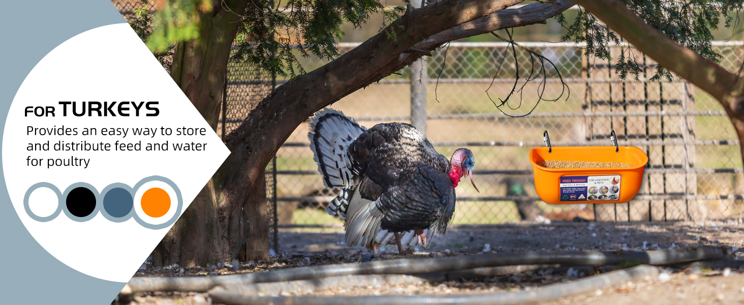 chicken coop feeder