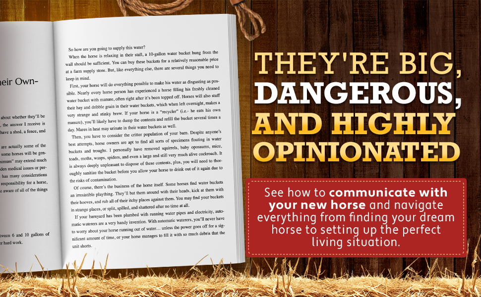 Excited for Your First Horse… But Unsure Where to Begin?