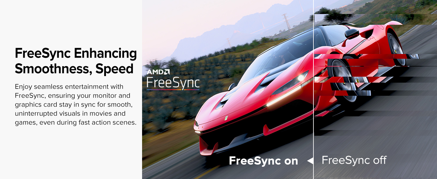 FreeSync Portable monitor