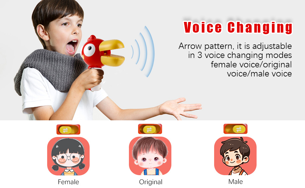 3-IN-1 Voice Changer