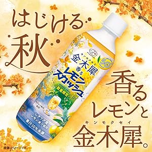 箱無し　レモンボトル　2本 imgrc0102655362.jpg