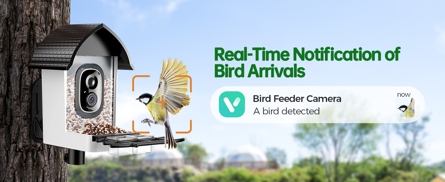 Solar Smart Bird Feeder with Camera