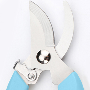 gardening shears
