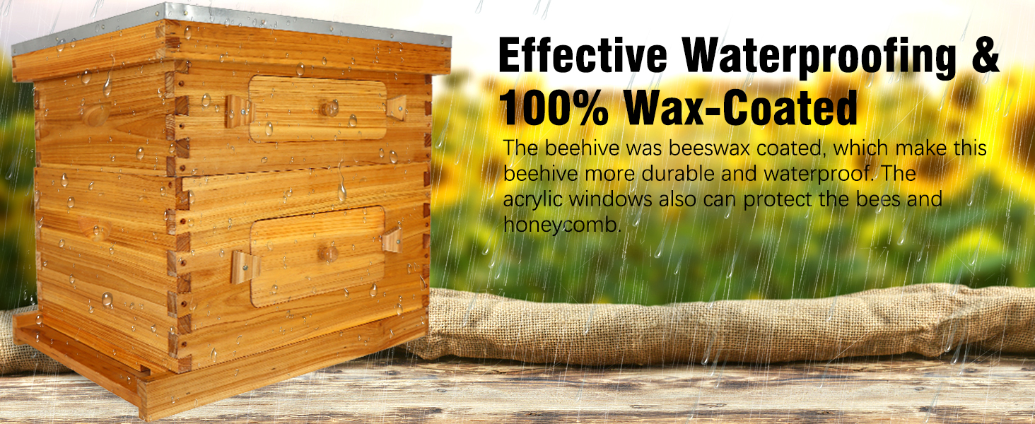 BeeCastle 8 Frame Deep Bee Hive Box, Langstroth Beehive