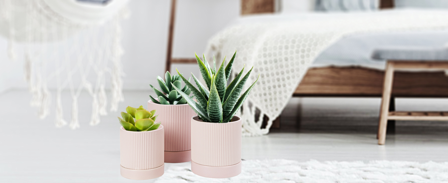 ceramic planter