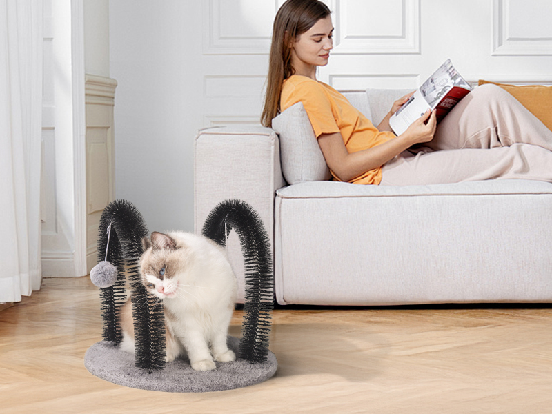 why cats need cat face scrathers?