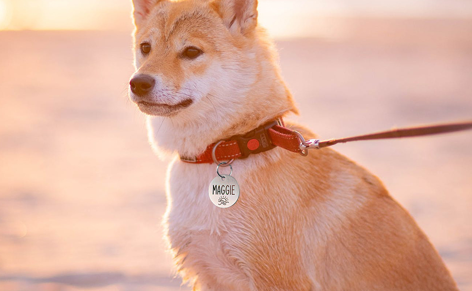 Stainless Steel Engraved Dog Name Tags, Two Sided