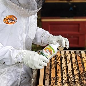 Small manufacture image 3