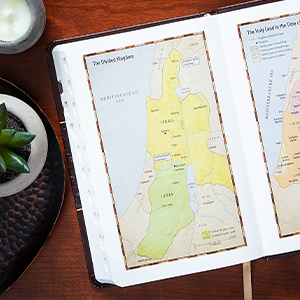 Small manufacture image 4