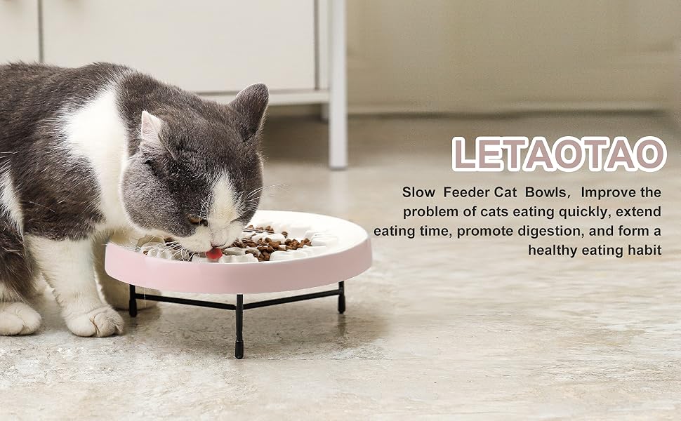 LETAOTAO Cat Slow Feeder Bowl Raised Cat Bowls Ceramic