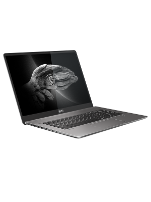 MSI 16インチ Creator Z16 A11UET 32GB 1TB MSI Creator Z16 (40,6 cm / 120Hz) Creator Laptop A11UET-209