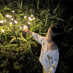 firefly lights