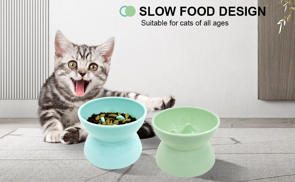 Raised Cat Food Bowl,Elevated Food and Water Dish for Cats
