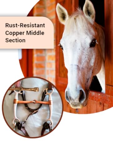 BRINGERPET Ring Snaffle Bit for Horse, Iron 5”