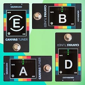 Canvas Tuner ギターチューナー ベースチューナー WALRUS AUDIOからペダル型チューナー「Canvas Tuner」が発売