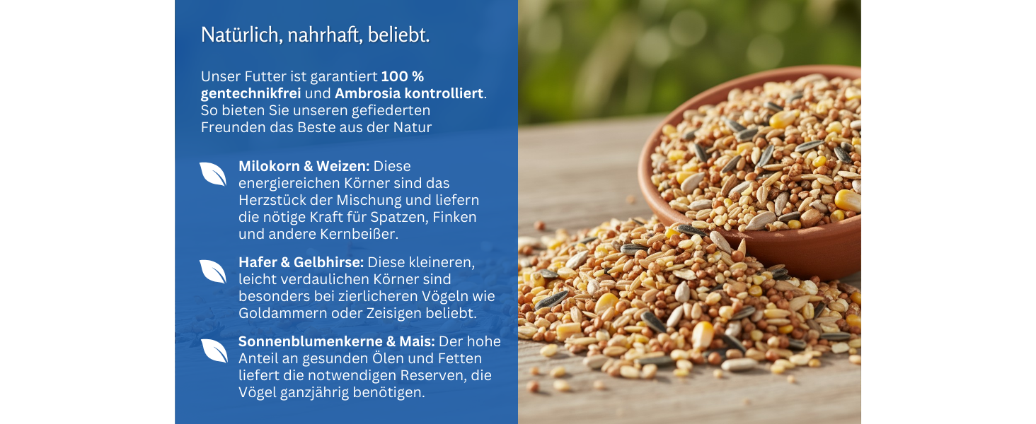 Aplus-Inhaltsbild