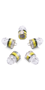 fishing lights
