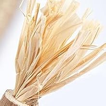 Zusammengebundenes Bündel heller, getrockneter Naturfasern oder Gras, möglicherweise Weizen oder Stroh, auf weißem Hintergrund
