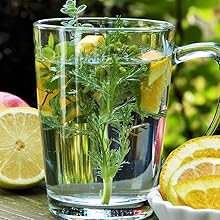 Kräutertee mit Zitronen