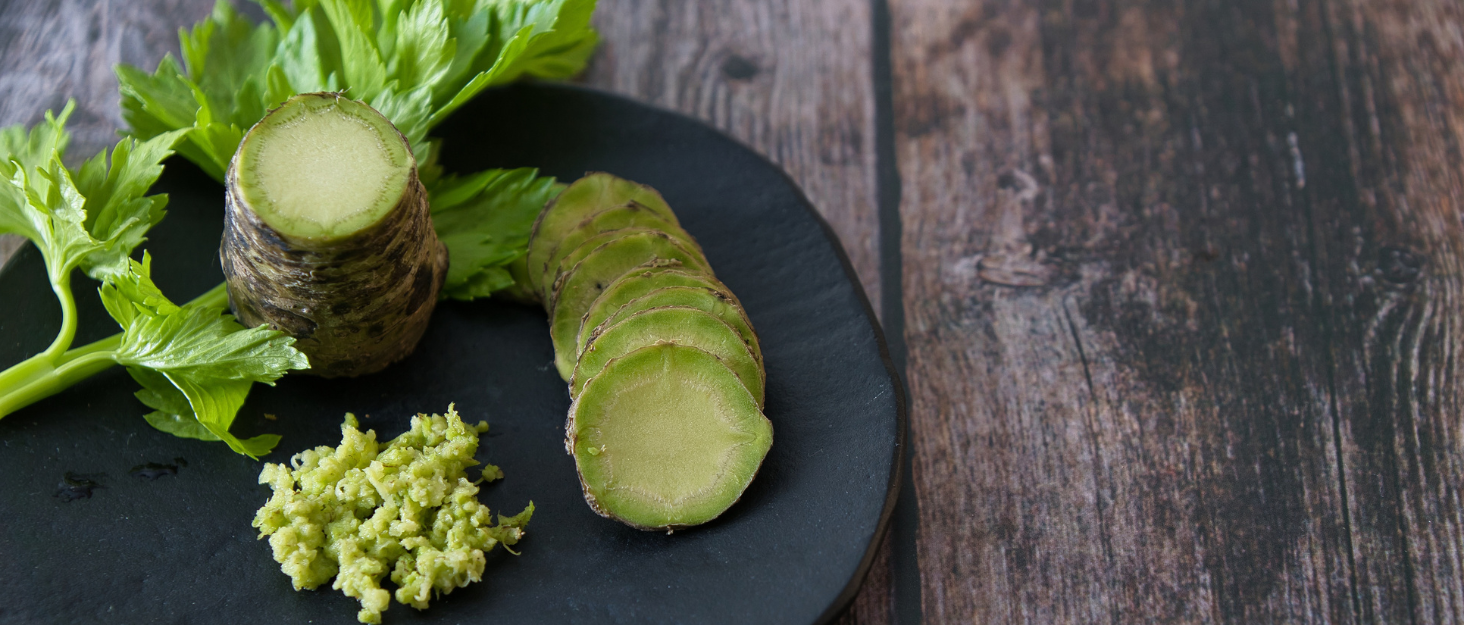 real wasabi root hon japan japanese pungent spicy aroma aromatic