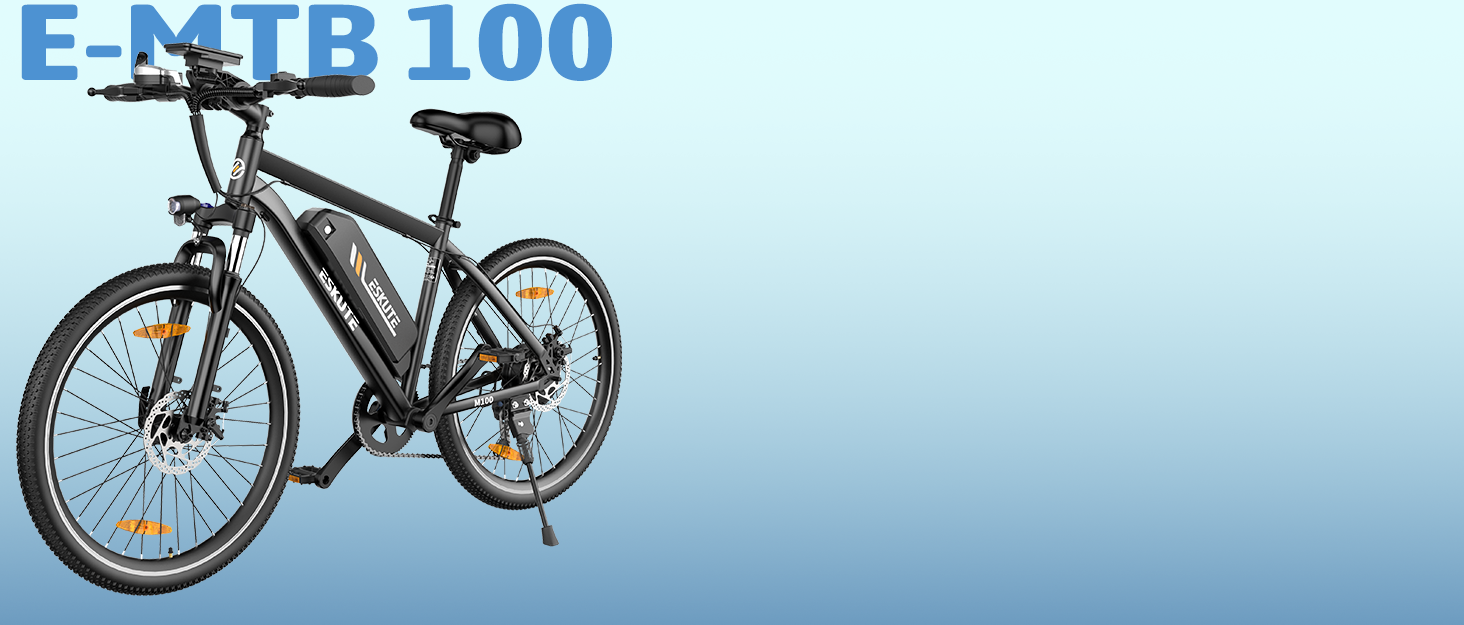 E-MTB 100