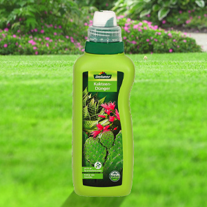 Dehner Kakteen und SukkulentenDünger, flüssig, 500 ml, für ca. 100 l