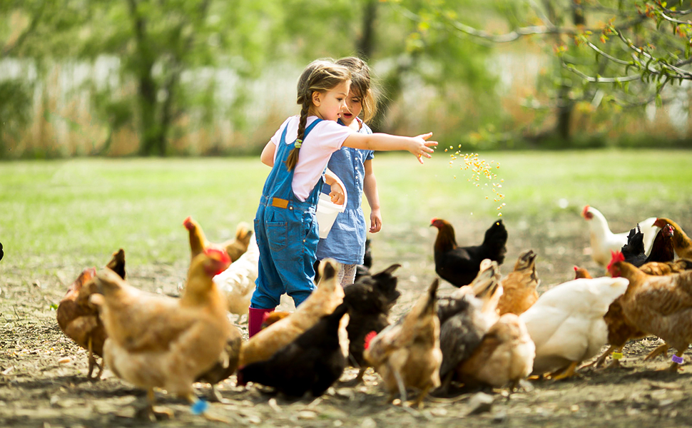 Large manufacture image 5