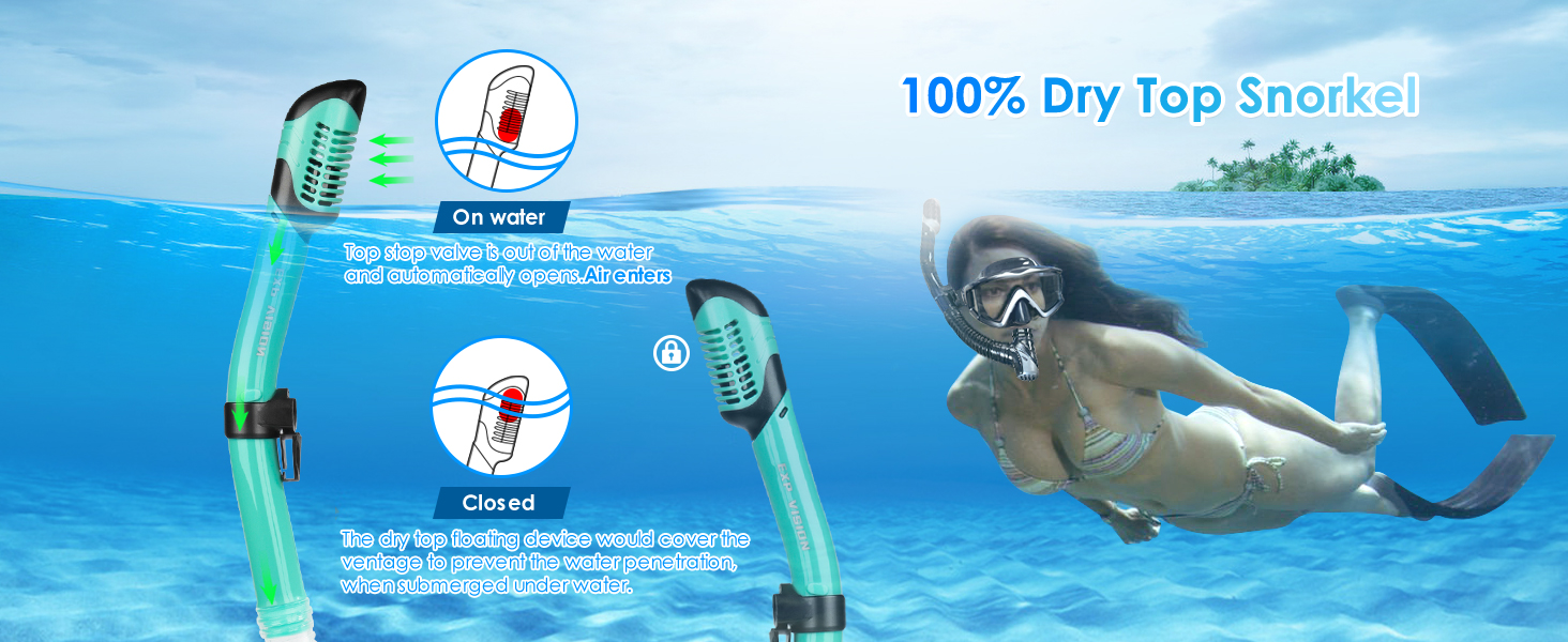 Snorkel Set Pano 3 Adult Snorkeling Gear Anti-Fog Snorkel Mask Dry Top Snorkel Scuba Diving Mask