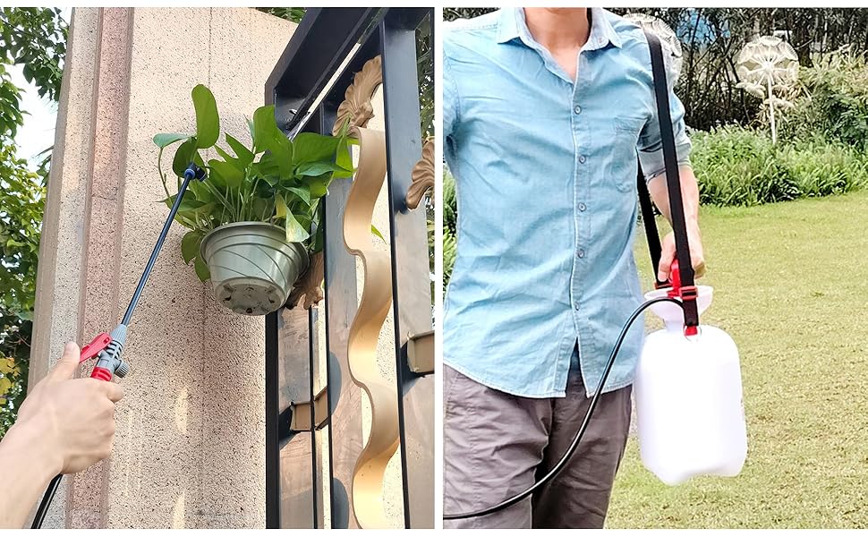 Watering hanging plant