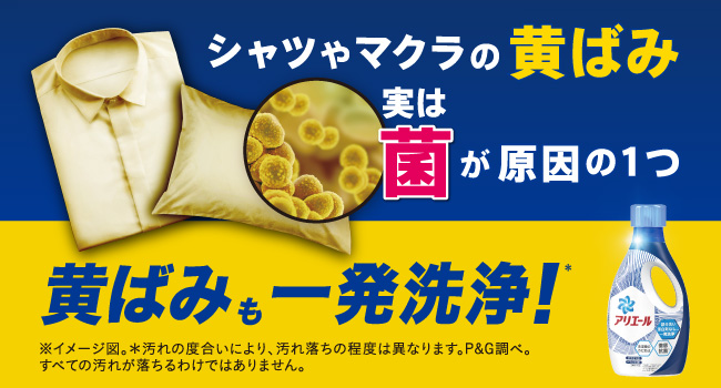 シャツやマクラの黄ばみ、実は菌が原因の1つ。黄ばみも一発洗浄。