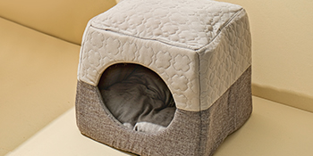 cat bed for indoor cat