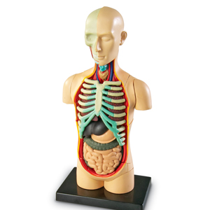 Small manufacture image 1