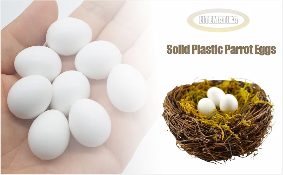 Solid Plastic Parrot Eggs - Dummy Hatching Eggs for Green Cheek Conure, Lorikeet, Ringneck Dove