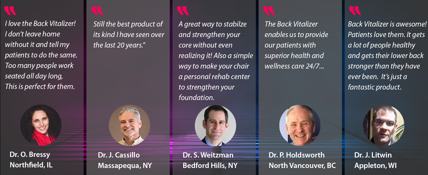 AJUVIA Back Vitalizer Car Lumbar Support for Driving Seat Lumbar