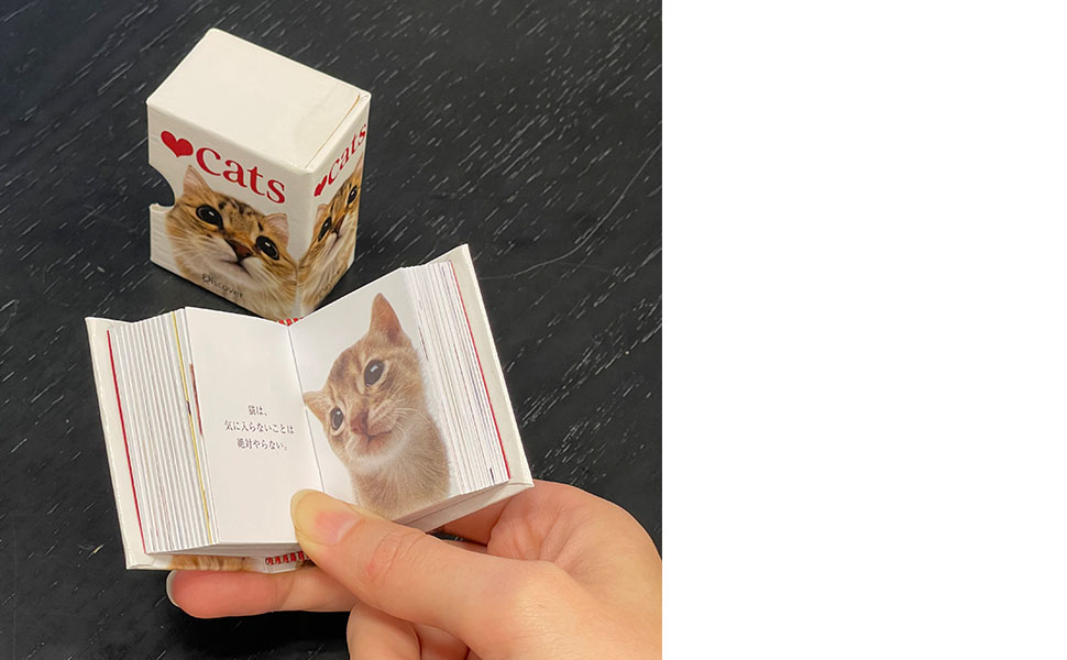 cats 手のひらサイズのギフトブックシリーズ (A HELEN EXLEY
