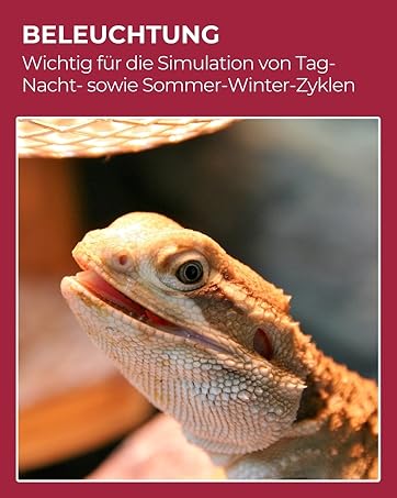 Beleuchtung