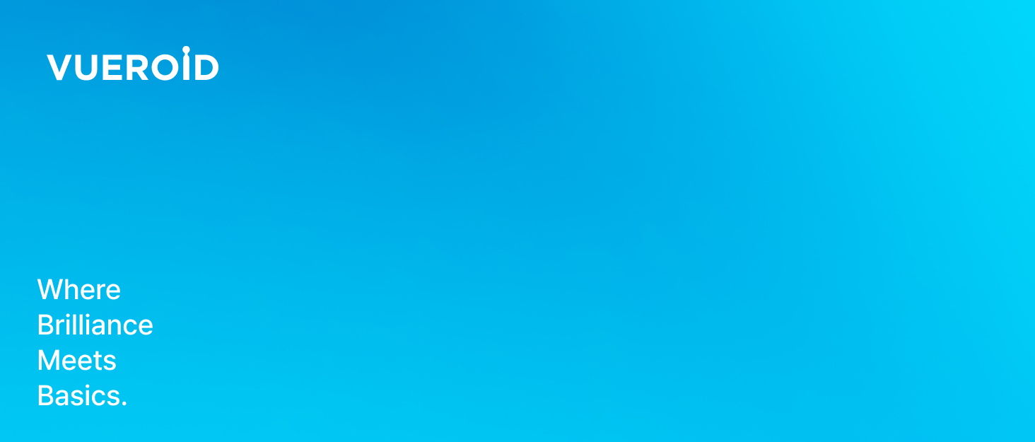 where brilliance meets basics vueroid dash camera