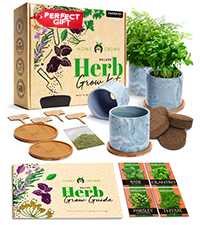 HERB KIT, HERB, HERBS, basil, kit, start kit, gardening, gift