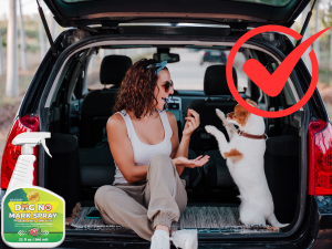 dog repellent spray