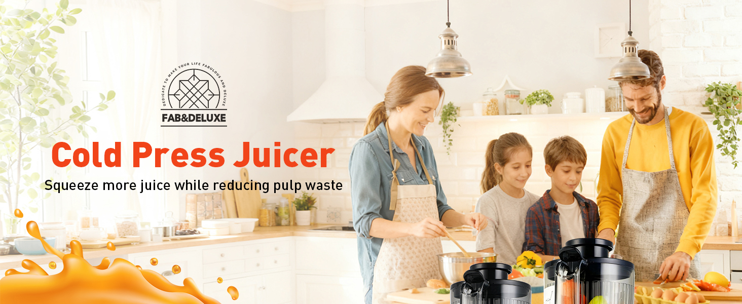 Cold Press Juicer