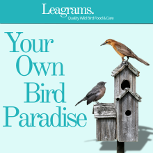 Small manufacture image 7