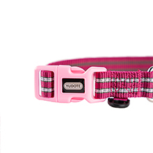 choke collar for small dogs