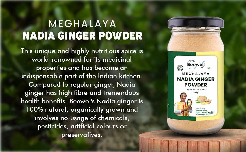 Beewel Ginger Powder Organic Natural Strong Saunth Powder Dry