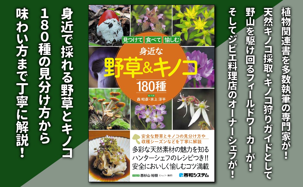 見つけて食べて愉しむ 身近な野草＆キノコ180種 | 森 昭彦, 水上