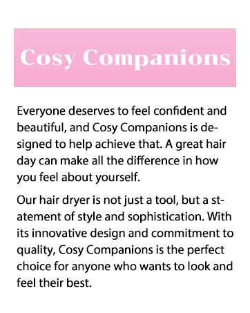 hair diffuser hairdryer