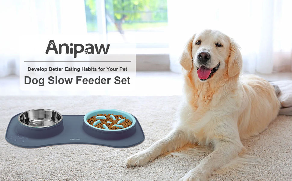 Slow Feeder Bowl-001