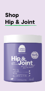 Hip & Joint