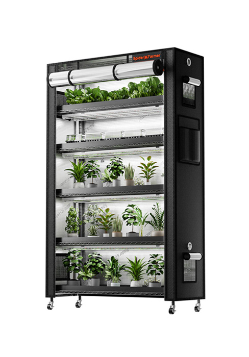 plant stand indoor