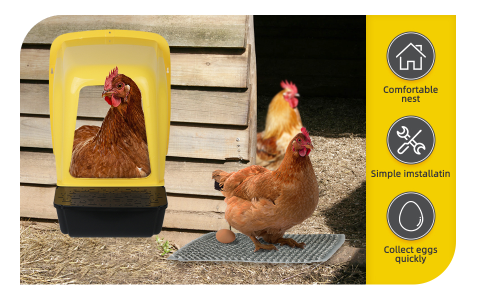 Chicken Nesting Boxes Chicken Laying Boxes with Perch Roll